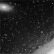 M31