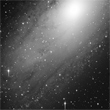 M31
