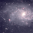 M33