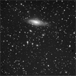NGC7331